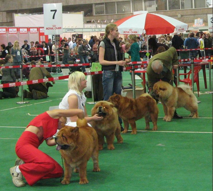 Junior males (not placed)