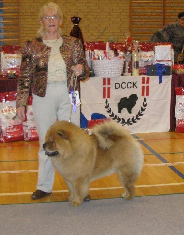 Junior male 2.Chowhills Gandor