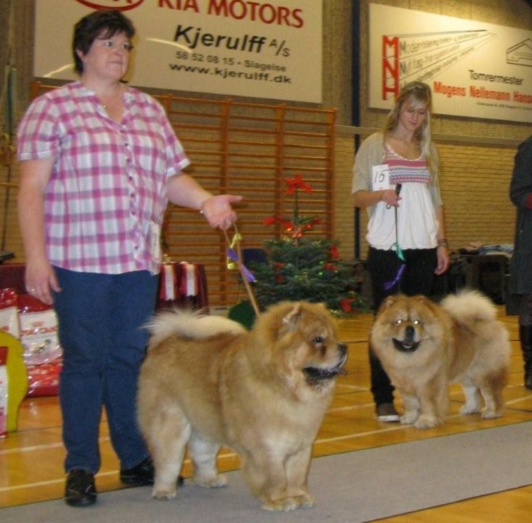 Junior male 3.Kong Litai Keepsake Pleasant Spirit 4.Rossy Tiamo Royal