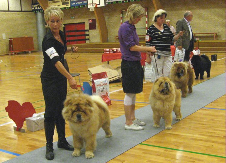 Junior males 1-4