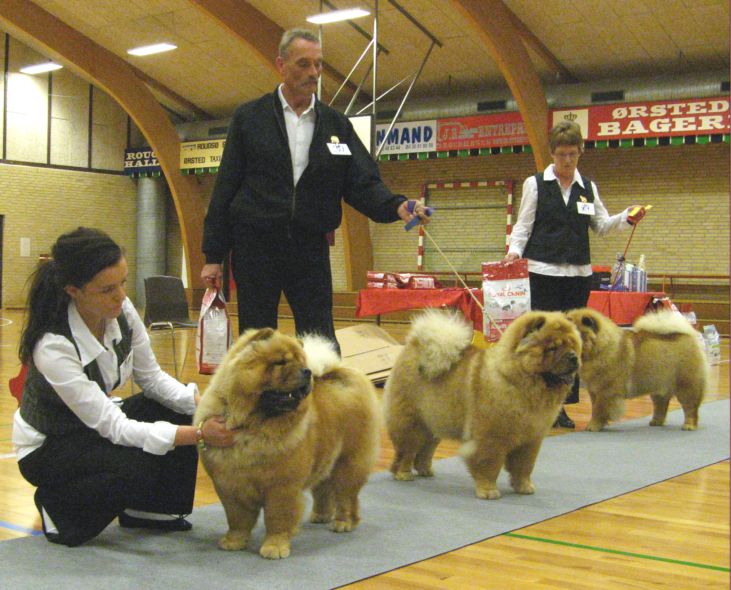 Junior females 1.Chan-Lo A Kind Of Magic 2. Chan-Los A Thing Call Love 3. Chan-Los A Winters Tale 