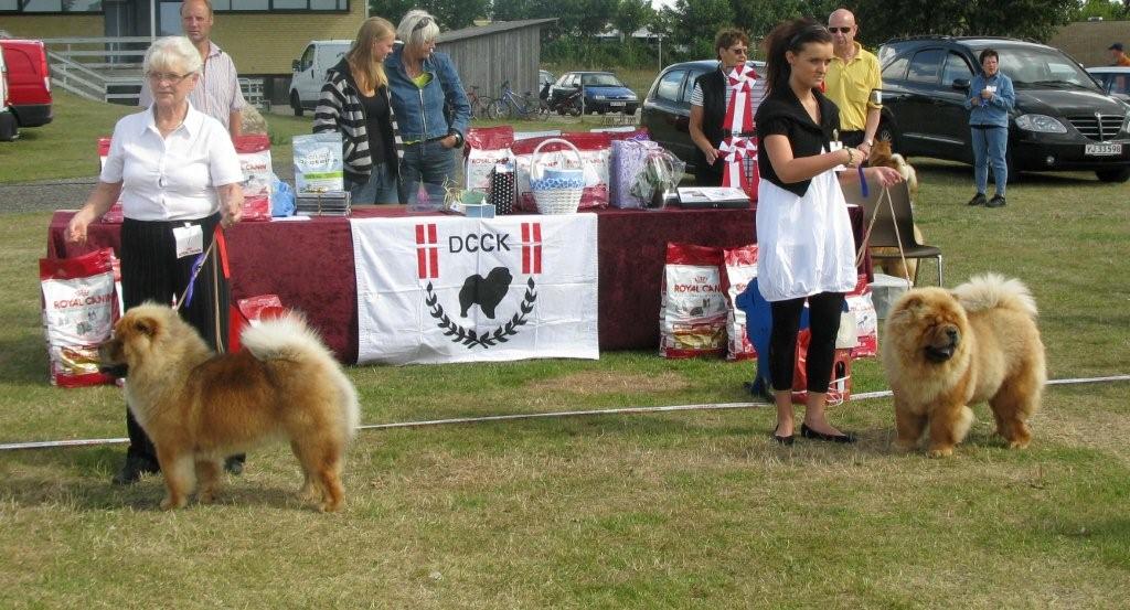 Junior males 1.+BD4 Chowhills Gandor 2. Chan-Los Bohemian Rhapsody