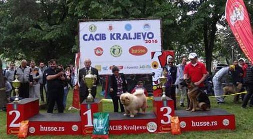 Stagebo's First Lady For Buddha (BIS1 Junior)