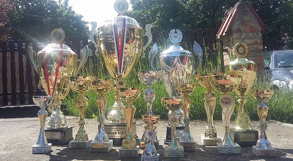 All Lady's cups wun in 5 month