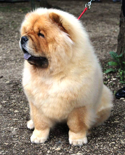 Lady 10 month old - Photo: Natasa Radulovic