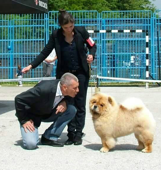 The judge like a kiss from Lady (Stagebo's First Lady For Buddha)