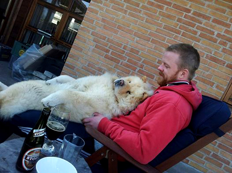 Stagebo's Crack Of Dawn (Muffi-1 year)-lives in Aalborg, DK
