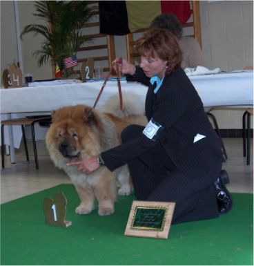 1.Open male red :Cheefoo Van Mansjoerije