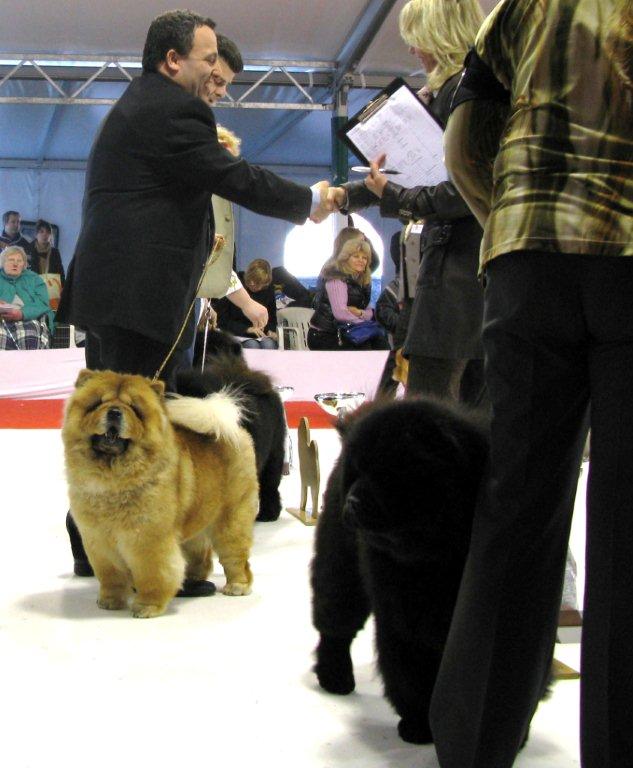 Open female 1.+CAC Honiland Tiara 2.+Res.CAC Pretty Princess Del Fiume Giallo