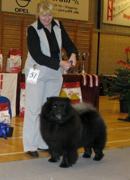 Open female 2.Bakkebos Miss Moneypenny