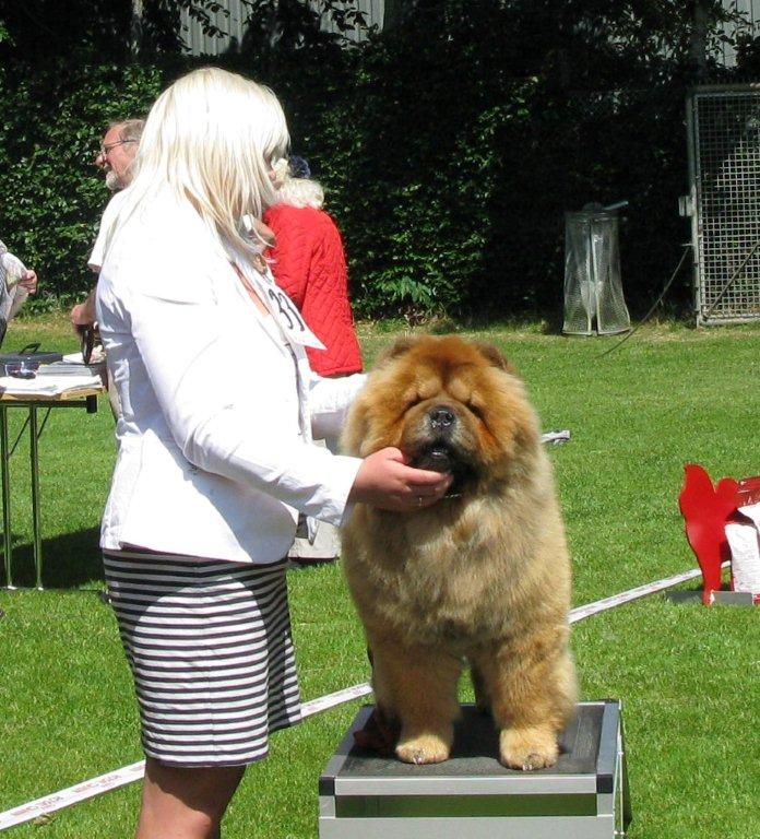 Open female 3.CH Chan-Los A Taste Of Honey 