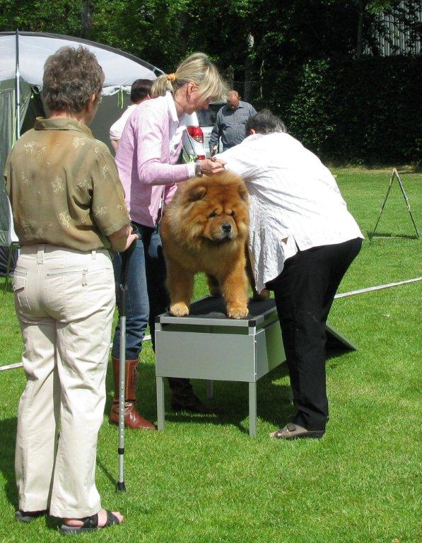 Open Male 4.CH Stagebos Twist And Shout