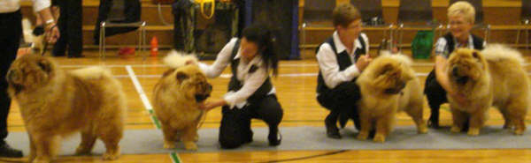 Best progeny class Stagebos Quick Step+children