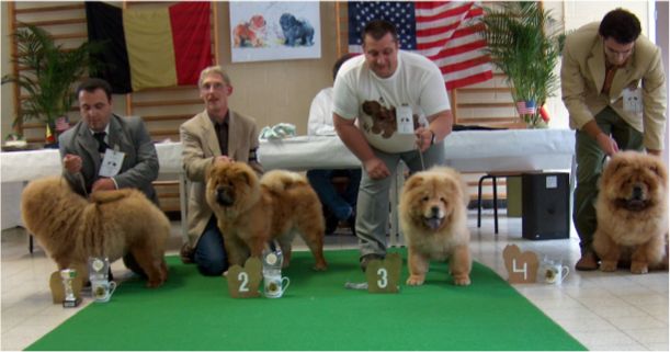 Puppy class