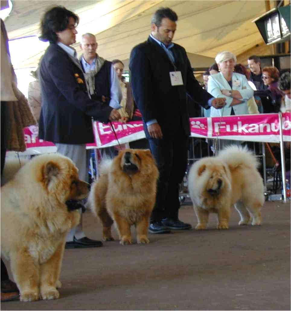 CAC (middle) Rabble Rousing