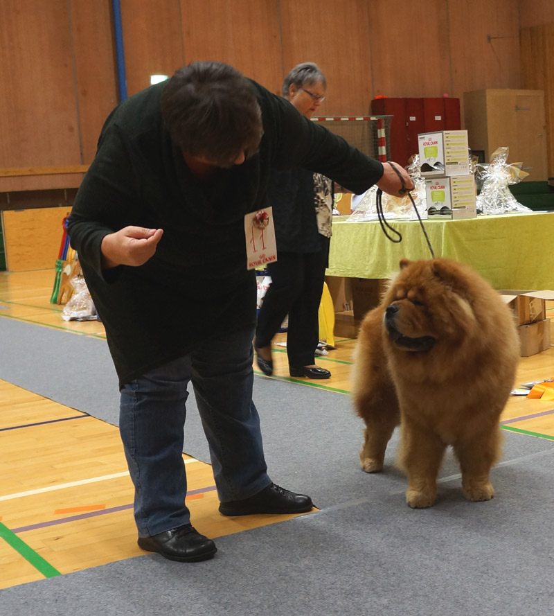 Best dog 2 Stagebo's Boogie Woogie