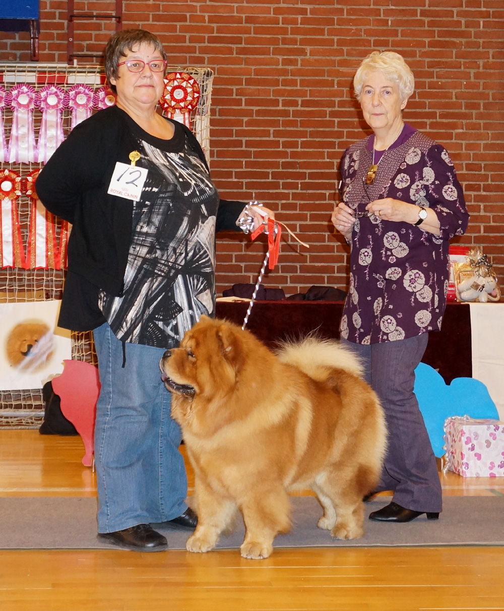 Best Dog 4 + Res.Cert. Stagebo's Boogie Woogie