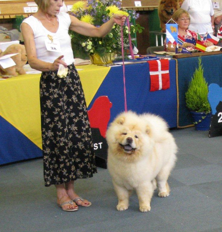Puppy class 1.Tanlap Tippi At Rashdan