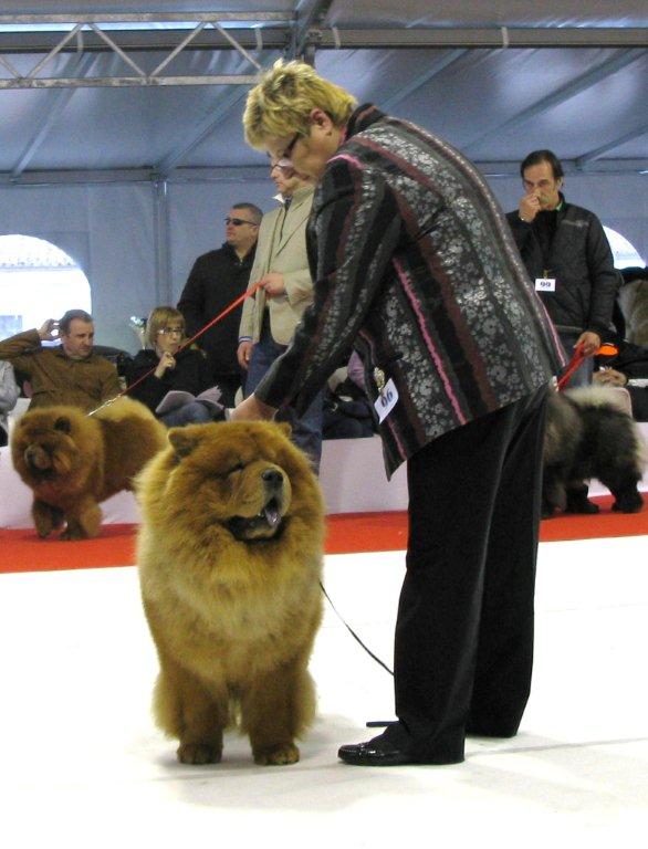 Tin Pan Alley Can Can Charlie-Exc.1+CAC-Open male