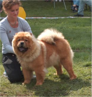 Stagebos Touch Of Class-9 month