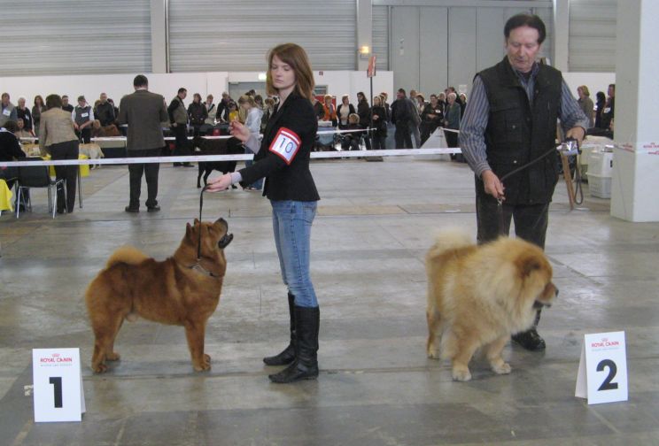 Open male-1.Chi Ming Zung Tzung Le-2.Gringo von Bellingroth