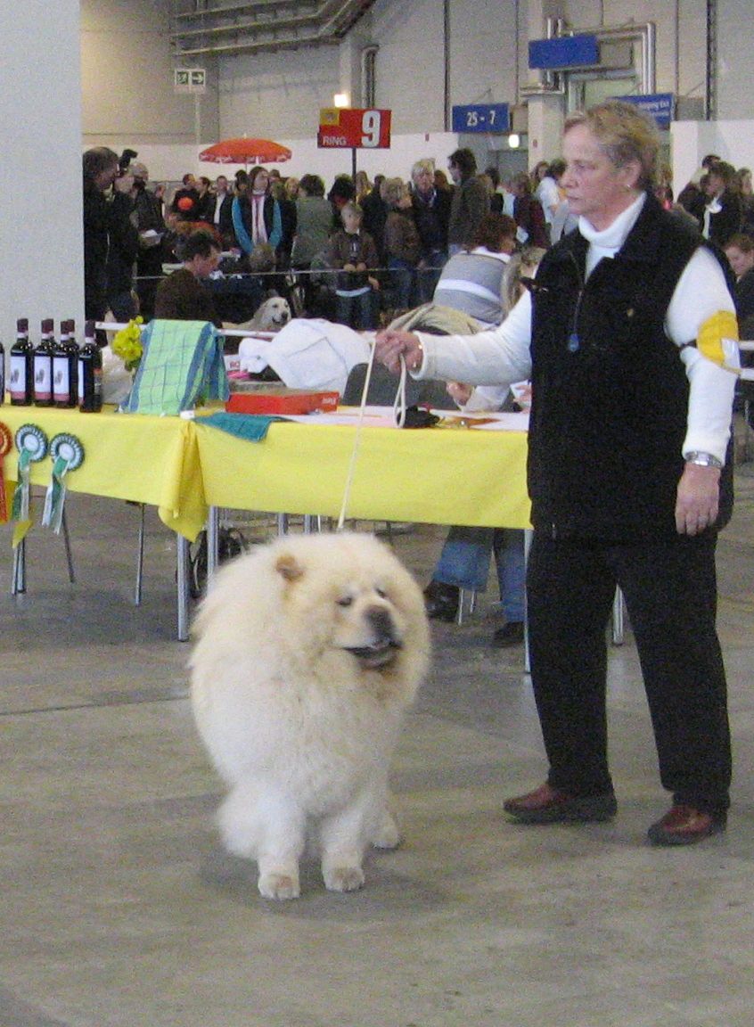 Intermediate male-3. Hei-Yu Tzu Yu-Ice-Dream