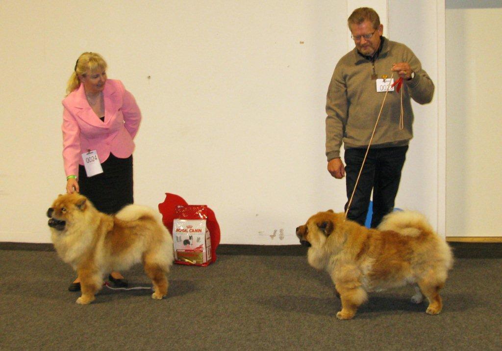 Veteran female 1.Bakkebos Girl Power 2.Bakkebos Impulsive Izabella
