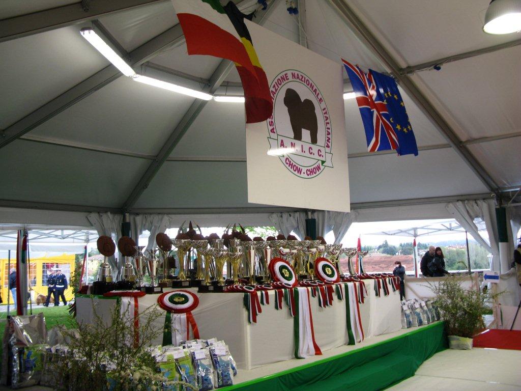 Impressive rosettes and trophees