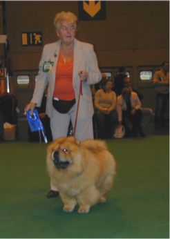 Waiwong Rigsby Of Cherrymount-2.limit dog