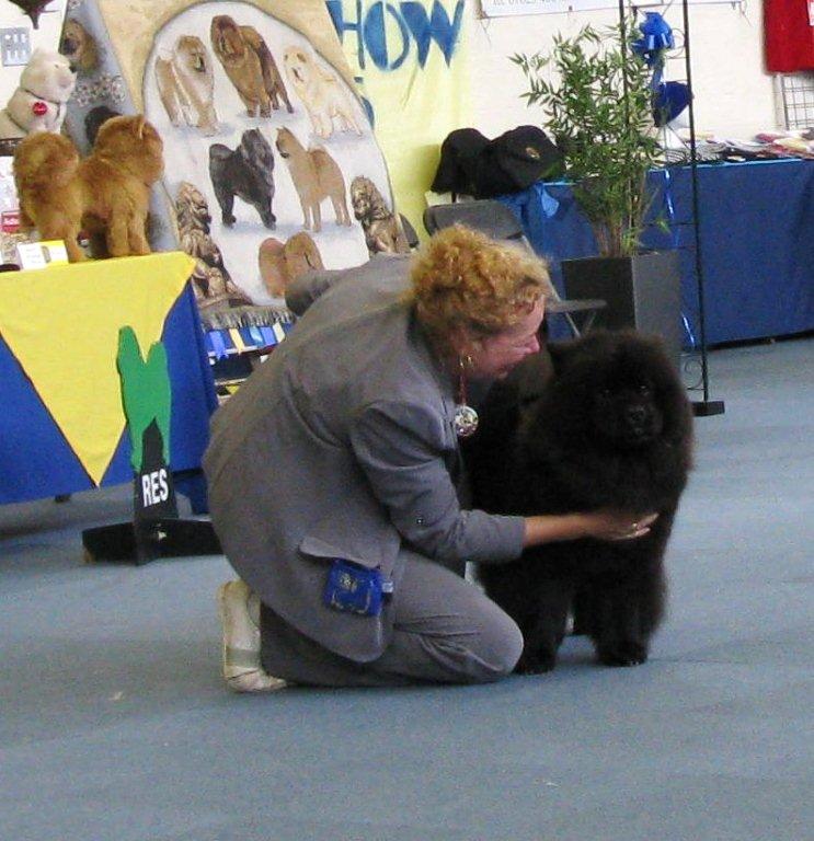 Winner of the Stake CH Piuk Chow Missies Victoria Princess
