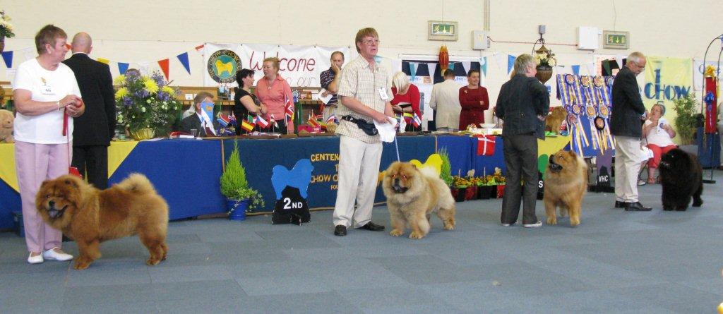 Winners-Grad.dog-PGD-Limit dog-AOC dog