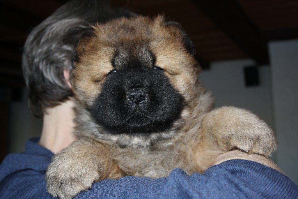 Yabba Dabba Doo 6 week - photo Elaine Paiva, Sweden