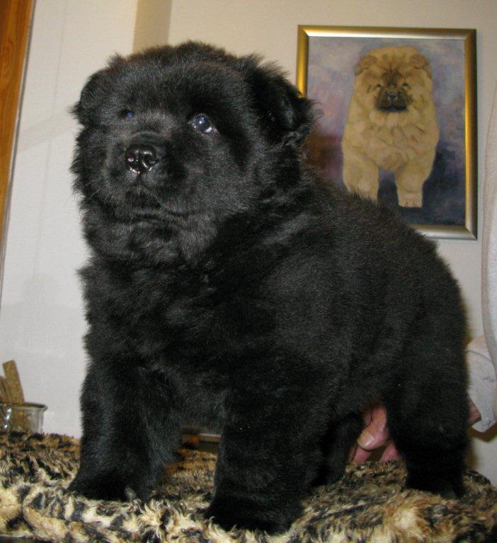 Yakety Yak 7 week