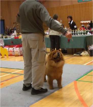 Yama Chasing Rainbows