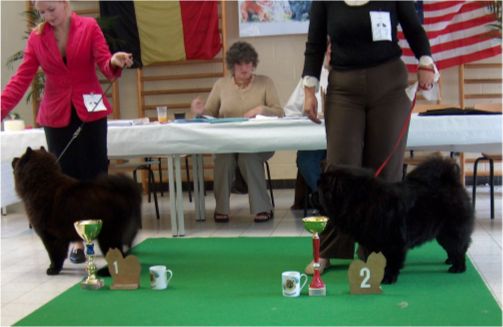 Youth Class females: Bidachows Irresistible Igucci+Astarte De La Baalucherie