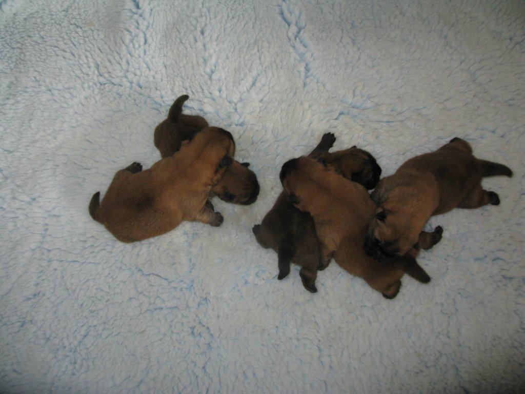 1 week old - boys left - girls right