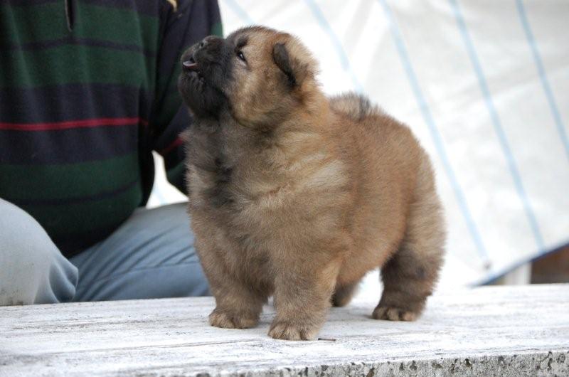 Eloise-7 week