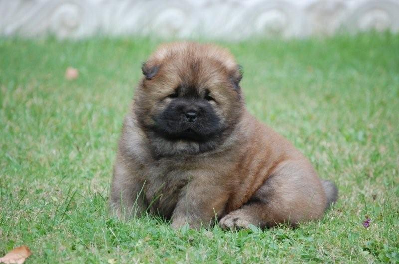 Eloise-7 week